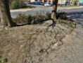 /album/stav-k-1-11-2015/dscn4703-jpg/