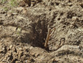 /album/stav-k-1-11-2015/dscn4704-jpg/