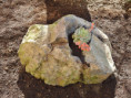 /album/stav-k-1-11-2015/dscn4706-jpg/