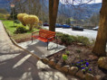 /album/stav-k-1-11-2015/dscn4708-jpg/