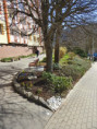 /album/stav-k-1-11-2015/dscn4712-jpg/